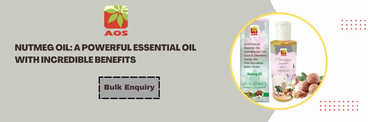Nutmeg Oil: A Powerful Essential Oil