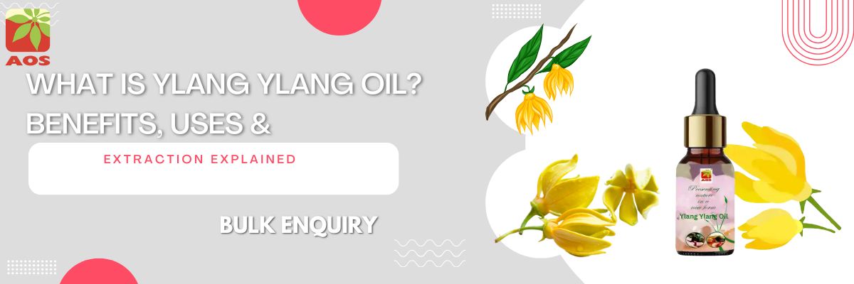 What is Ylang Ylang Oil