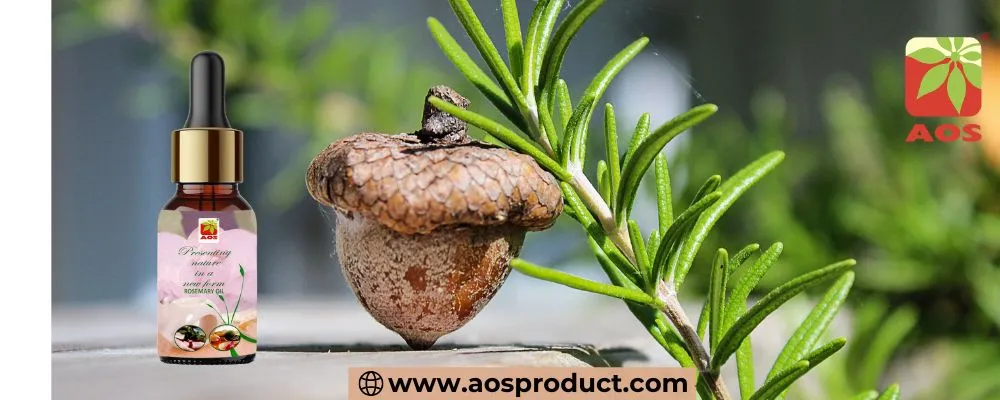 Carrier Oils to Mix with Rosemary Oil