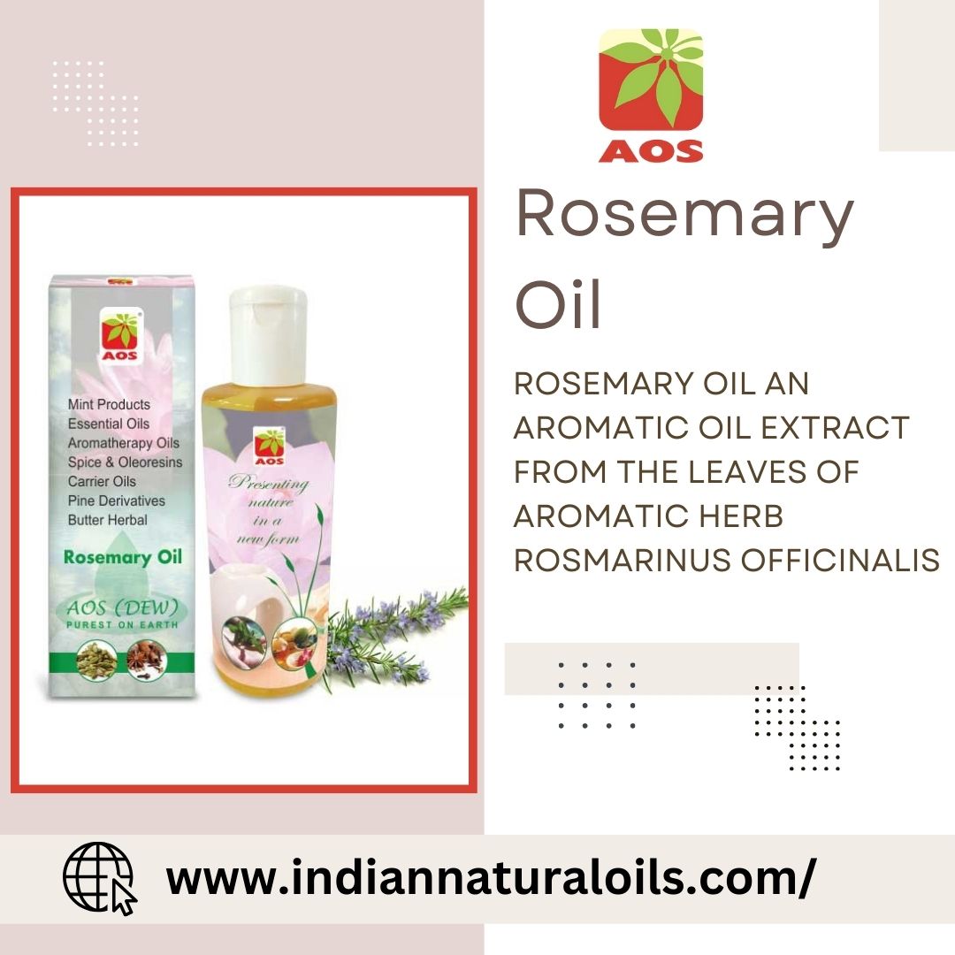 Rosemary Oil Diffuser Benefits: