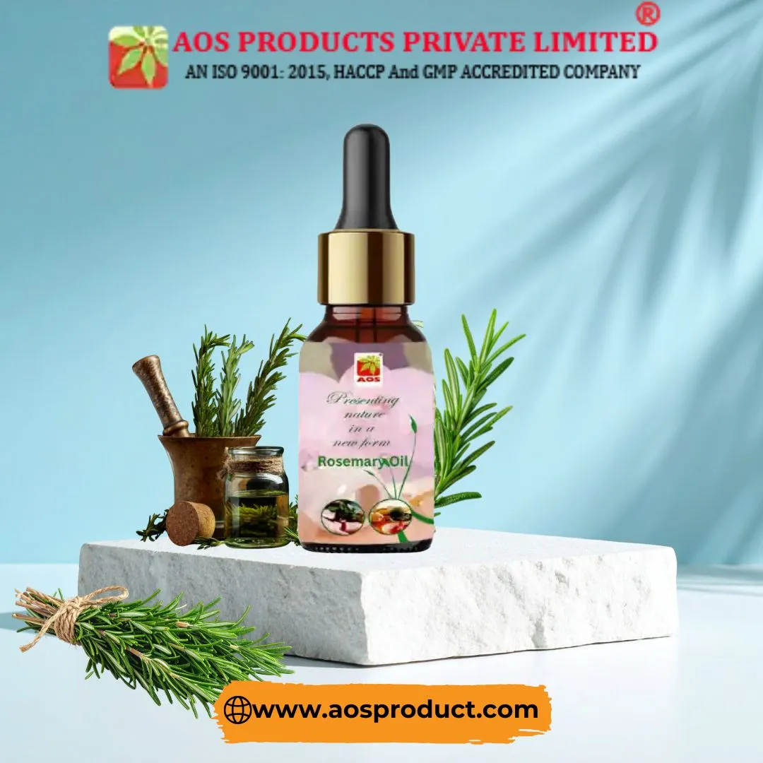 Rosemary Oil: Nature’s Secret for Hair, Health, and Wellness