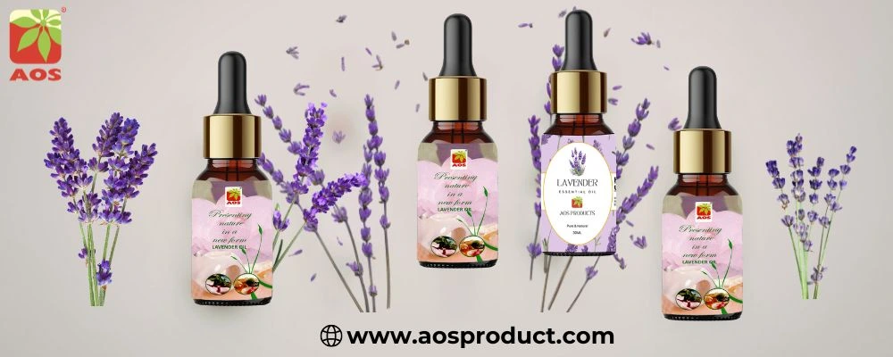Lavender Oil: Nature’s Gentle Healer for Mind and Body