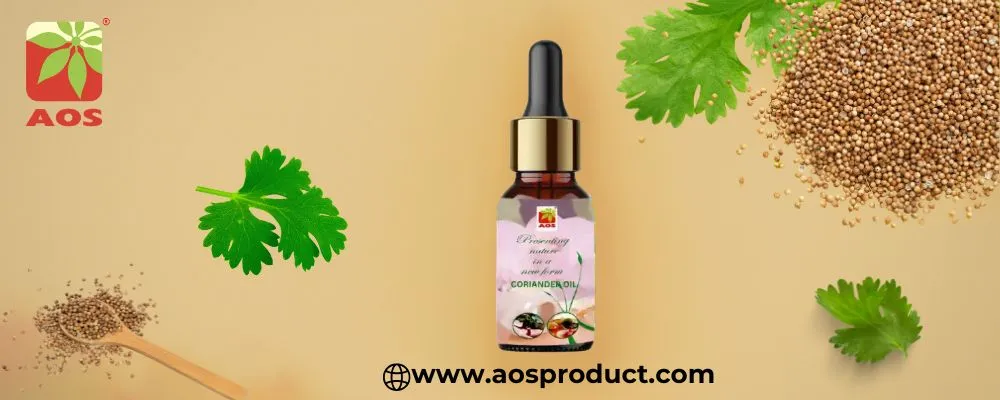 Coriander Oil: A Versatile Essential for Modern Wellness and Industry