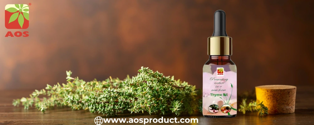 Thyme Oil: A Powerful Essential for Health, Hygiene, and Holistic Wellness