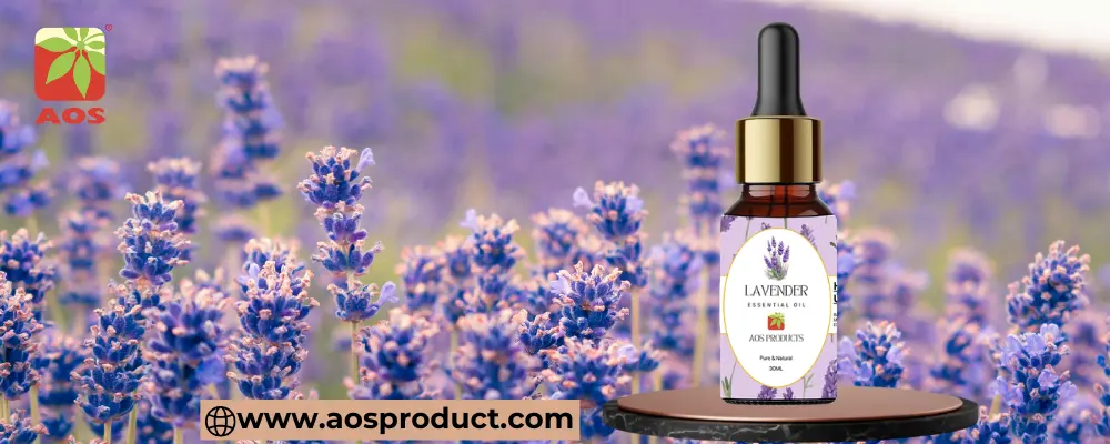 Lavender Oil Benefits for Sleep, Stress, Skin, & Hair