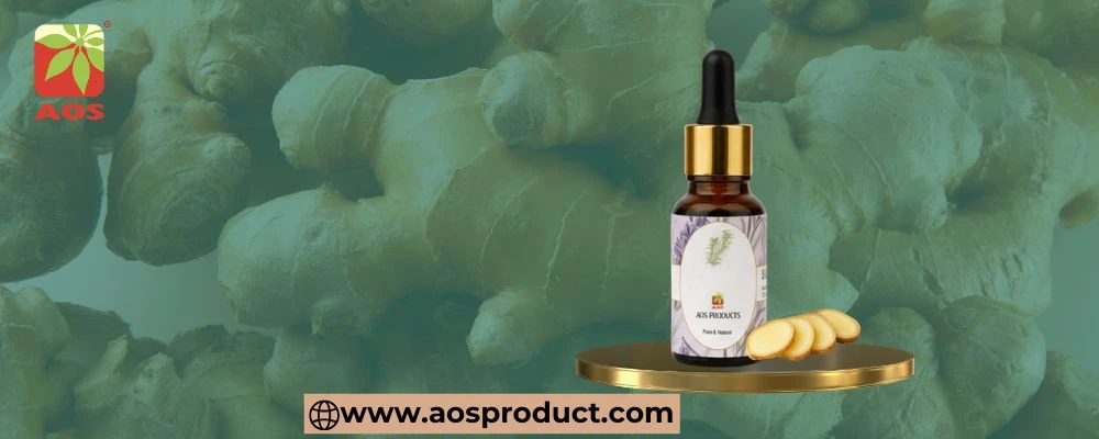 Ginger Oil: Nature’s Powerful Remedy for Health, Hair, and Wellness