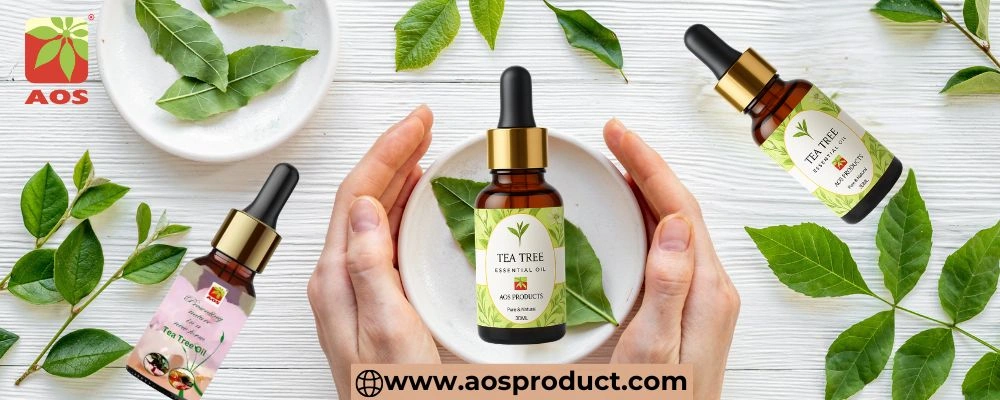 Tea Tree Oil: Nature’s Powerful Essential Oil for Skin, Hair, and Wellness