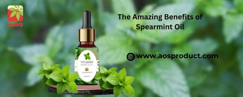 The Amazing Benefits of Spearmint Oil