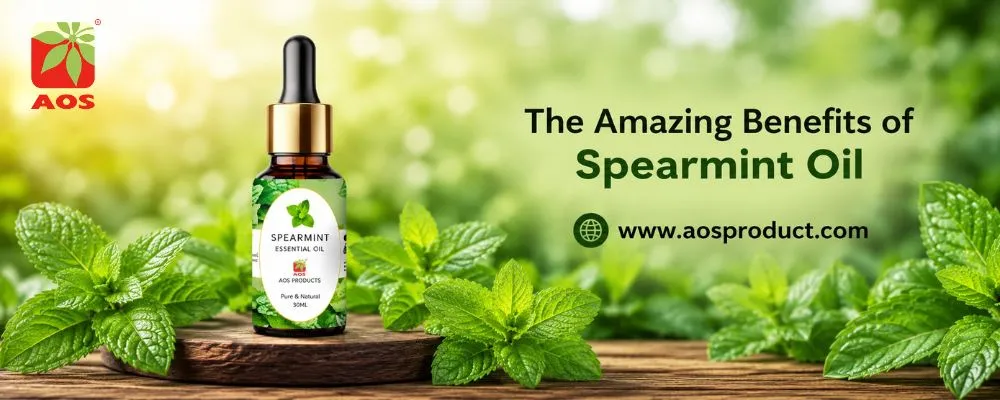 The Amazing Benefits of Spearmint Oil