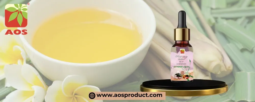Citronella Oil: The Natural Wellness Trend Taking Over Modern Homes