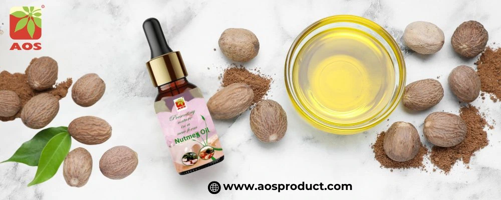 Nutmeg Oil: The Warm-Spiced Secret Making a Comeback in Modern Wellness