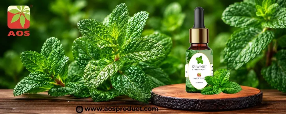 The Garden Secret Spearmint Oil