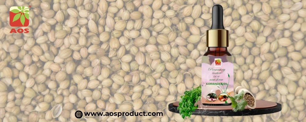 Coriander oil Spice Market Fragrance
