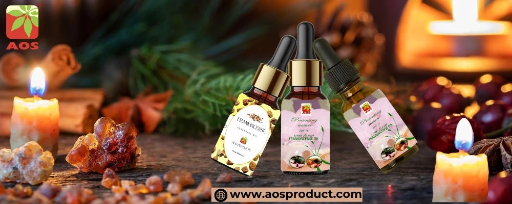 Frankincense Oil Guide uses Benefits, History