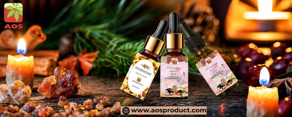 Frankincense Oil Guide uses Benefits, History