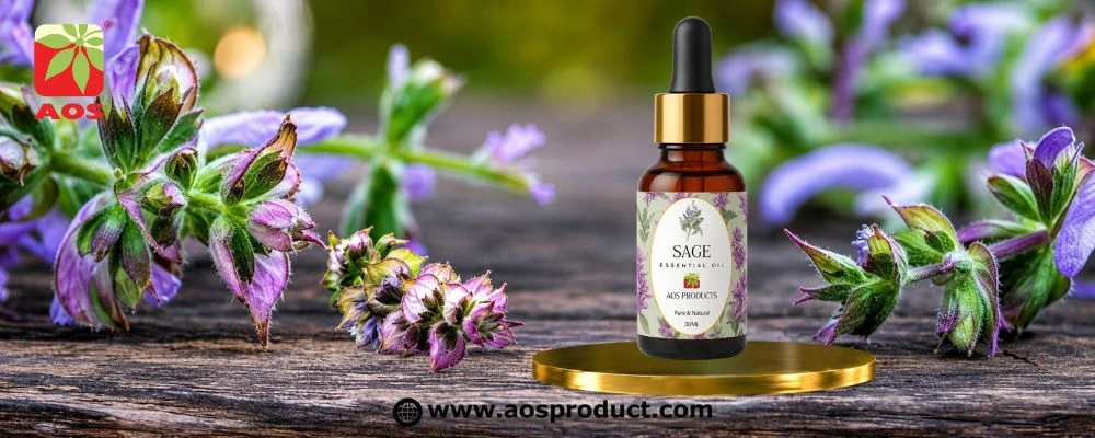 Sage Oil: The Ancient Botanical Finding Its Place in Modern Wellness