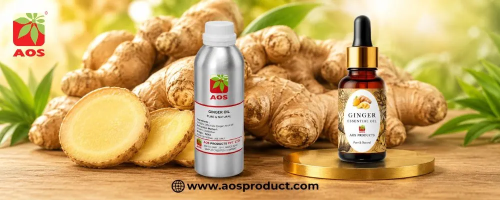 Ginger Oil: Your Natural Path to Better Health and Vibrant Living