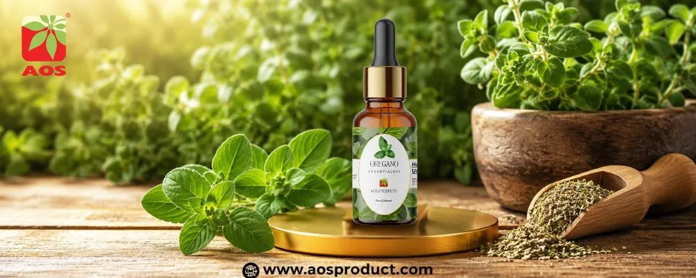 Oregano Oil: Small Drops, Big Benefits