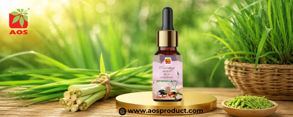 Citronella Oil: A Refreshing Essential Oil for Everyday Use