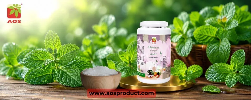 The Journey of Peppermint: The Making of Menthol Crystals