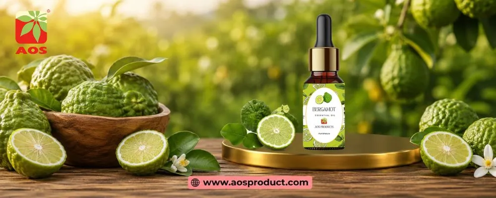 Bergamot Oil: A Premium Essential Oil for IP, BP, and USP Markets