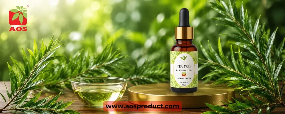 Tea Tree Oil: A Story of Purity, Quality, and Pharmaceutical Trust
