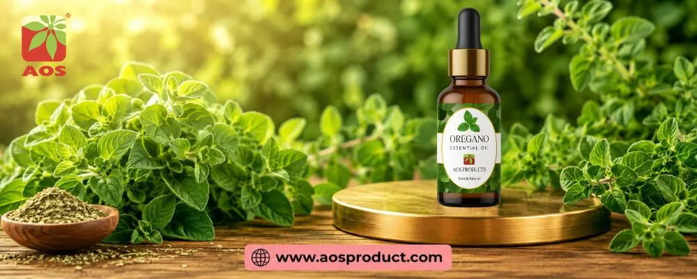Oregano Oil: A Story of Quality, Purity, and Pharmaceutical Excellence