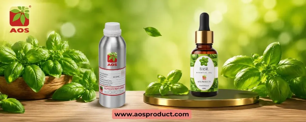Basil Oil: From Aromatic Fields to Global Pharmaceutical Excellence