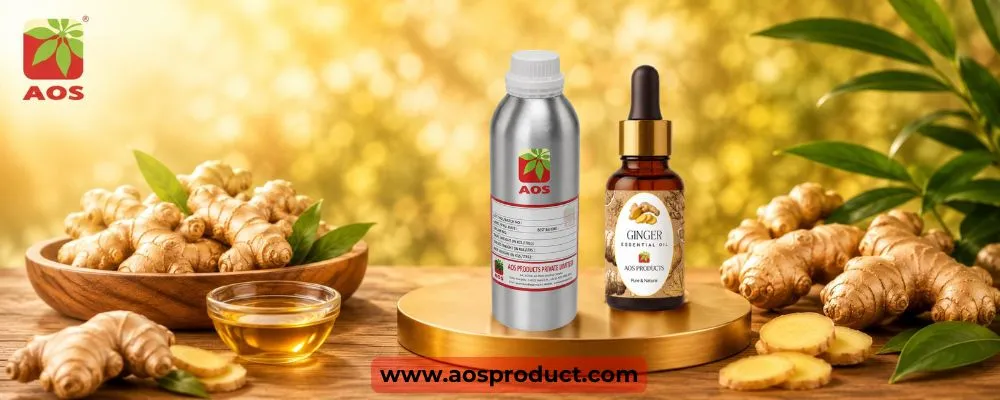 Ginger Oil: A Story of Quality, Purity, and Global Pharmaceutical Trust