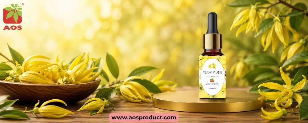 Ylang Ylang Oil – Nature’s Fragrant Masterpiece