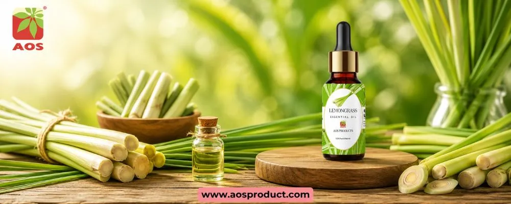 Lemongrass Oil: Nature’s Purity Meets Pharmaceutical Excellence