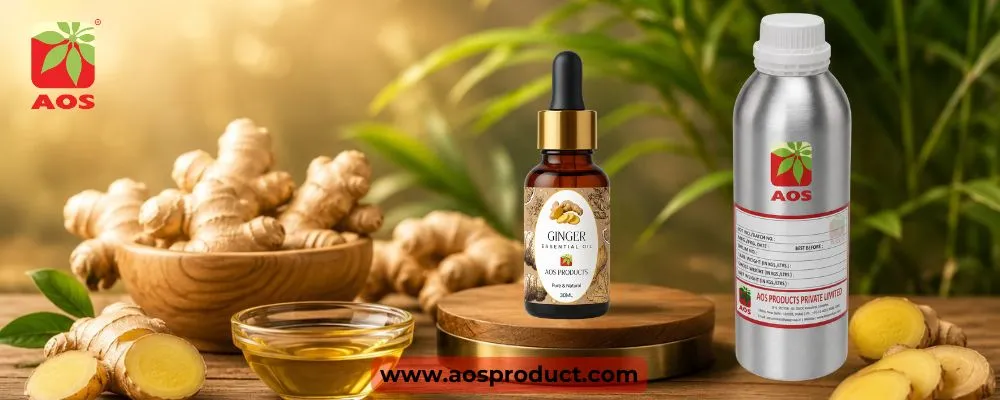 Ginger Oil: A Journey from Nature's Root to Pharmaceutical Excellence