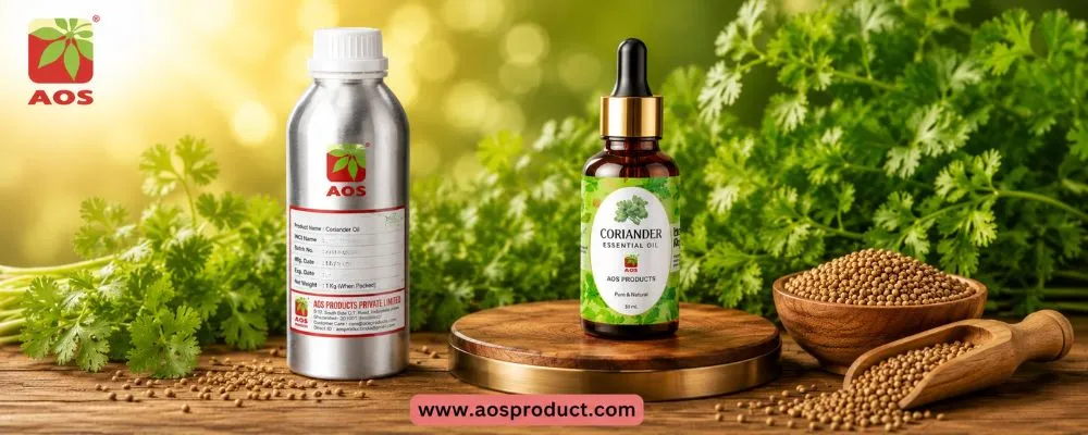 Coriander Oil – Where Nature Meets Pharmaceutical Excellence