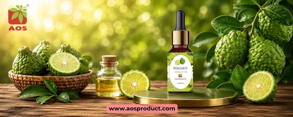 Bergamot Oil – Where Nature Meets Pharmaceutical Excellence