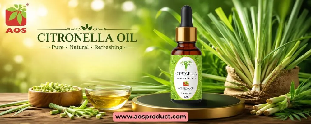 Citronella Oil – Nature's Trusted Essential Oil with International Quality Standards