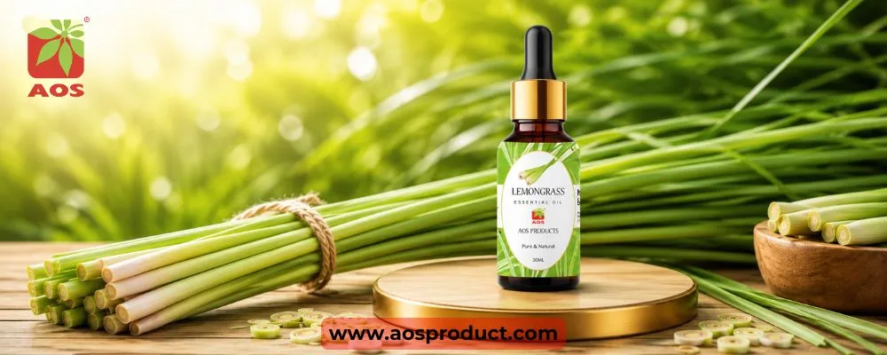 The Journey of Lemongrass Oil: From Nature to Global Standards