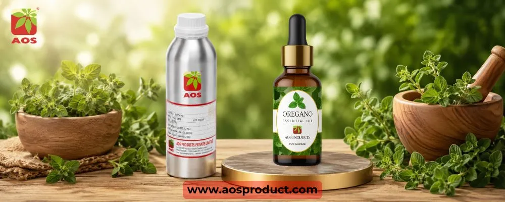 Oregano Oil Supplier | High-Purity Essential Oil for Pharmaceutical Industries