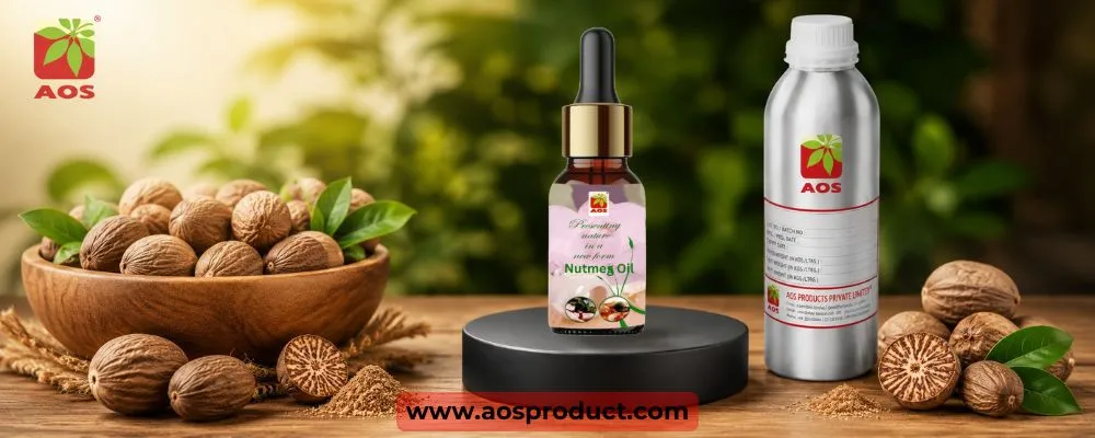 Pharmaceutical Grade Nutmeg Oil | Premium Quality Supplier