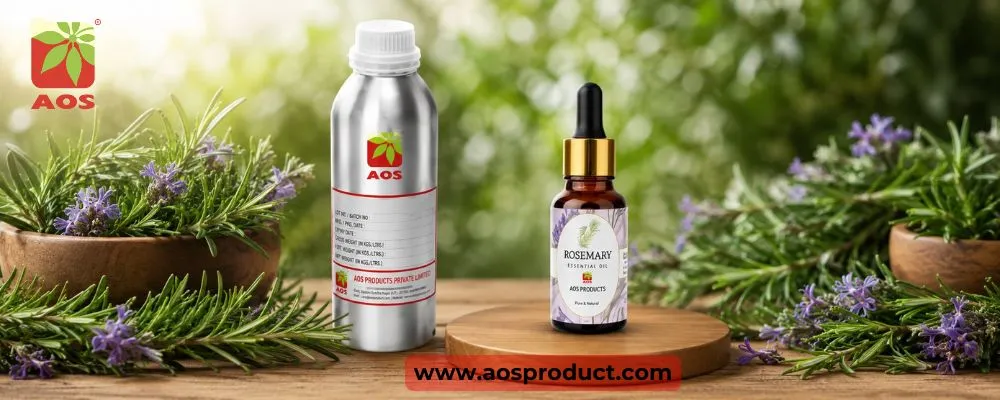 Rosemary Oil: Pharmaceutical-Grade Purity for Healthcare and Industrial Use