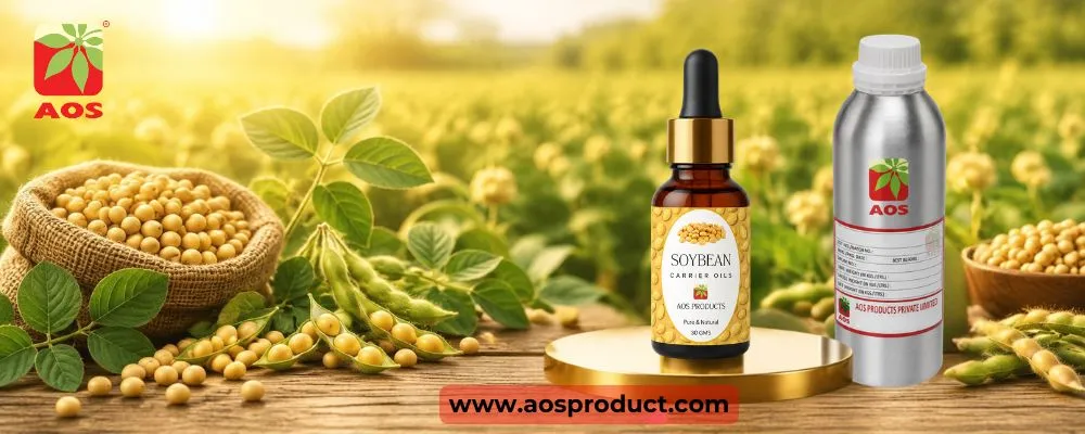 Soybean Oil: The Gold Standard for Pharmaceutical-Grade Quality
