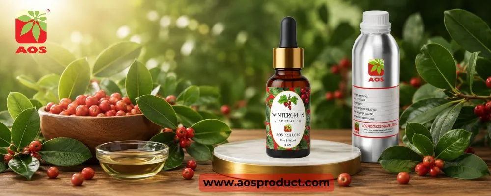 Wintergreen Oil: A Premium Essential Oil for Pharmaceutical and Therapeutic Applications