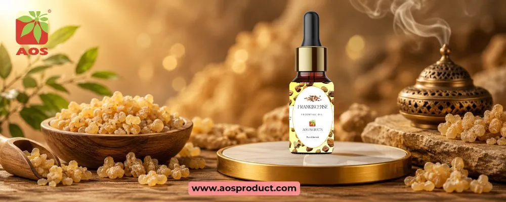 Frankincense Oil: A Premium Essential Oil Meeting Global Pharmaceutical Standards