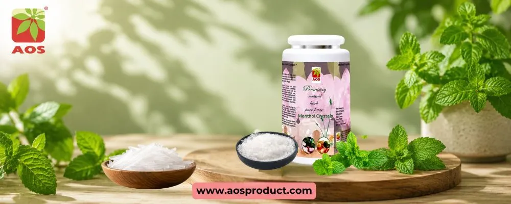 Menthol Crystal Applications: From Medicines to Personal Care Products