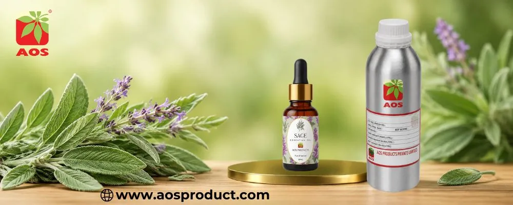 Sage Oil Benefits: Aromatherapy Uses, Skin Care, and Wellness Insights