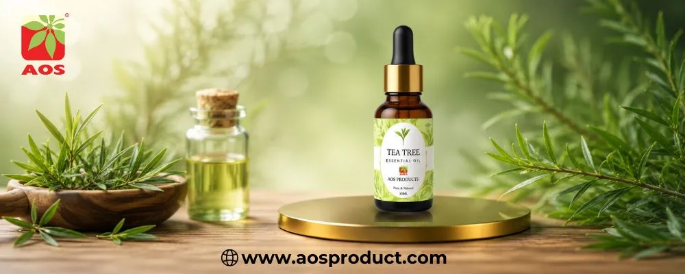 Tea Tree Oil: A Trusted Essential Oil for Pharmaceutical and Healthcare Applications