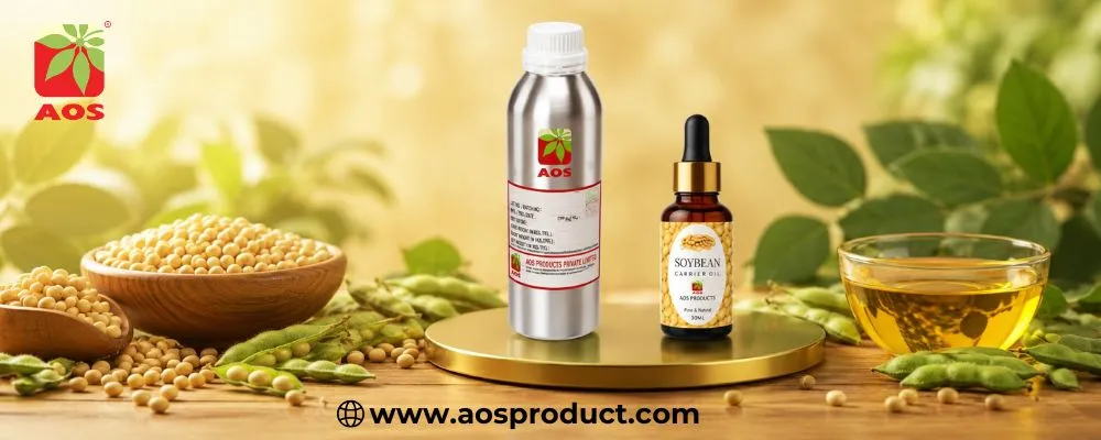 Soybean Oil: The Silent Powerhouse Behind Modern Nutrition and Industry