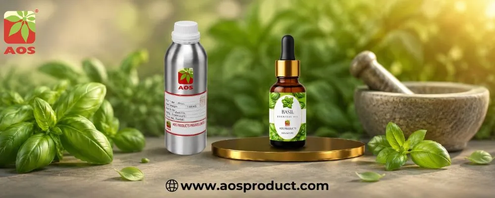 Basil Oil: A Versatile Essential Oil for Wellness, Personal Care, and Industrial Applications