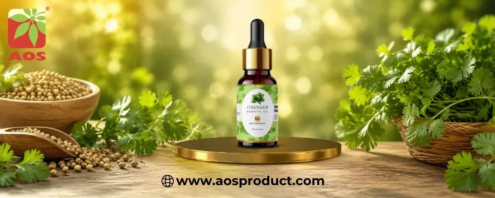 Coriander Oil: A Natural Essential Oil with Remarkable Health and Wellness Benefits