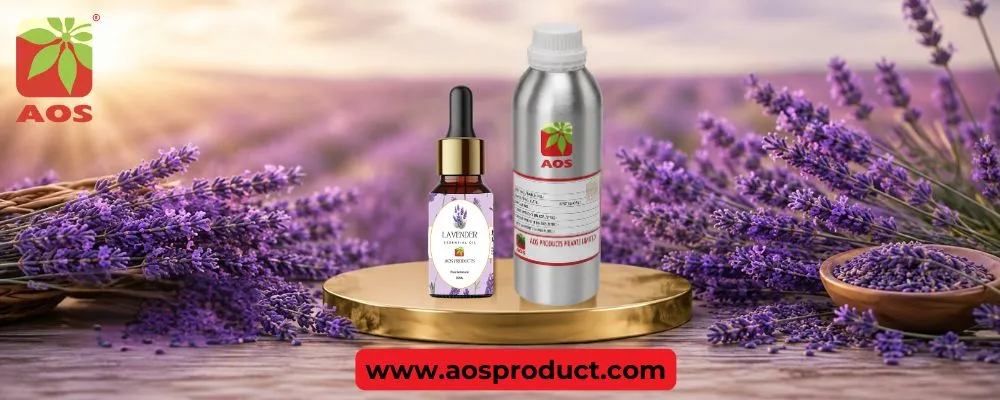 Lavender Essential Oil: Benefits, Uses & Skin Care