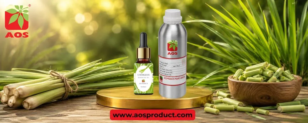 Lemongrass Oil Benefits: Fresh Citrus Herb Oil for Wellness